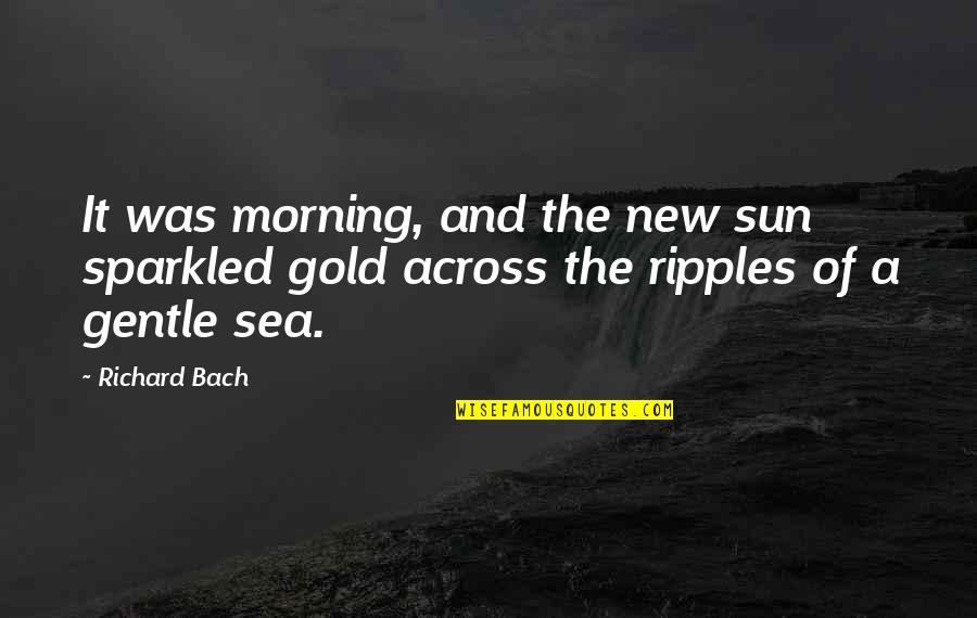Sea Sun Quotes By Richard Bach: It was morning, and the new sun sparkled
