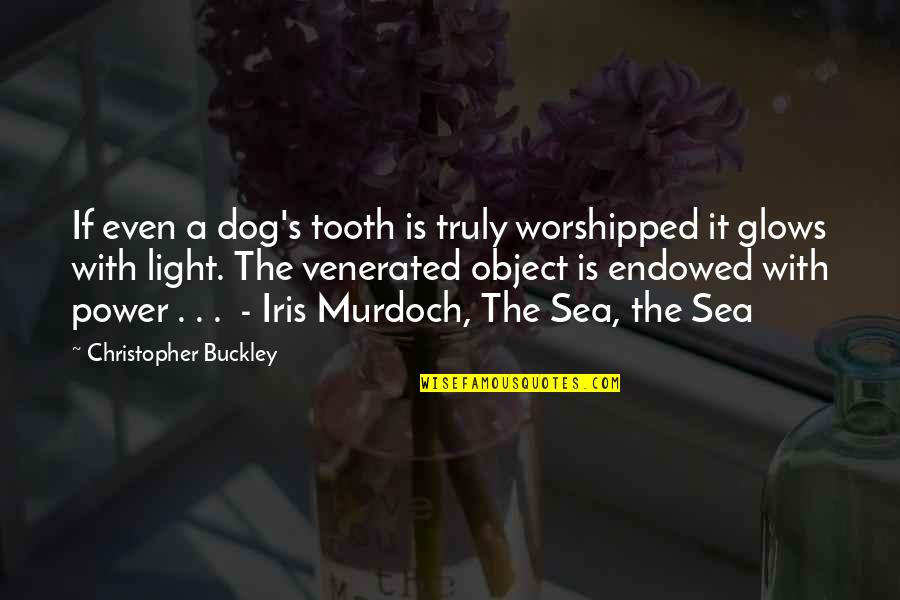 Sea With Quotes By Christopher Buckley: If even a dog's tooth is truly worshipped
