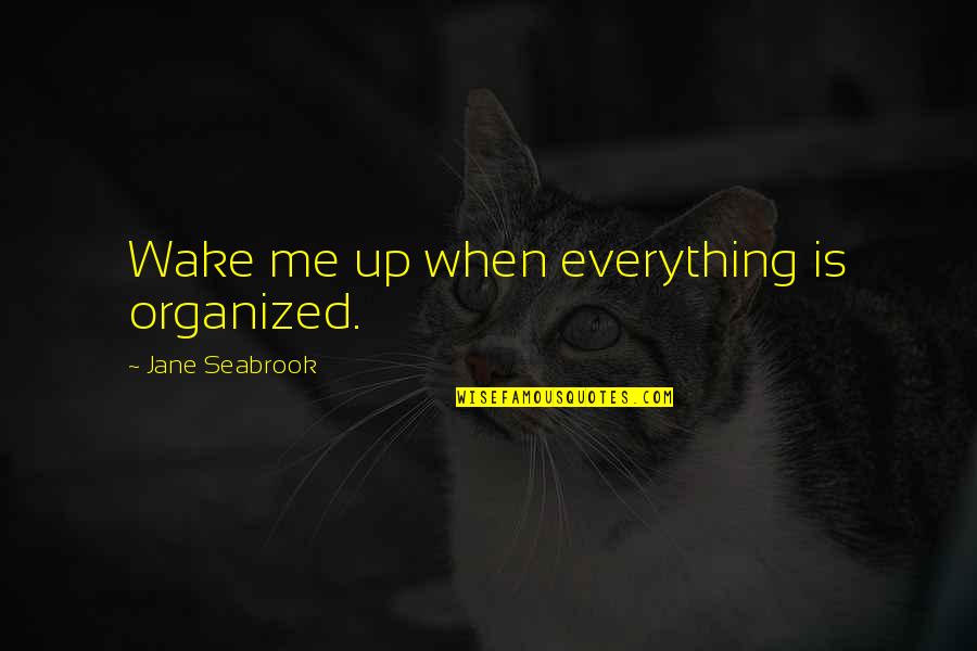 Seabrook Quotes By Jane Seabrook: Wake me up when everything is organized.