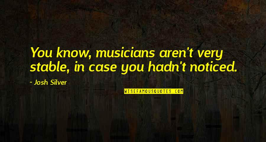 Seafront Beach Quotes By Josh Silver: You know, musicians aren't very stable, in case