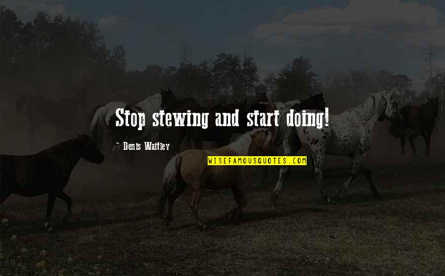 Seaguar Smackdown Quotes By Denis Waitley: Stop stewing and start doing!