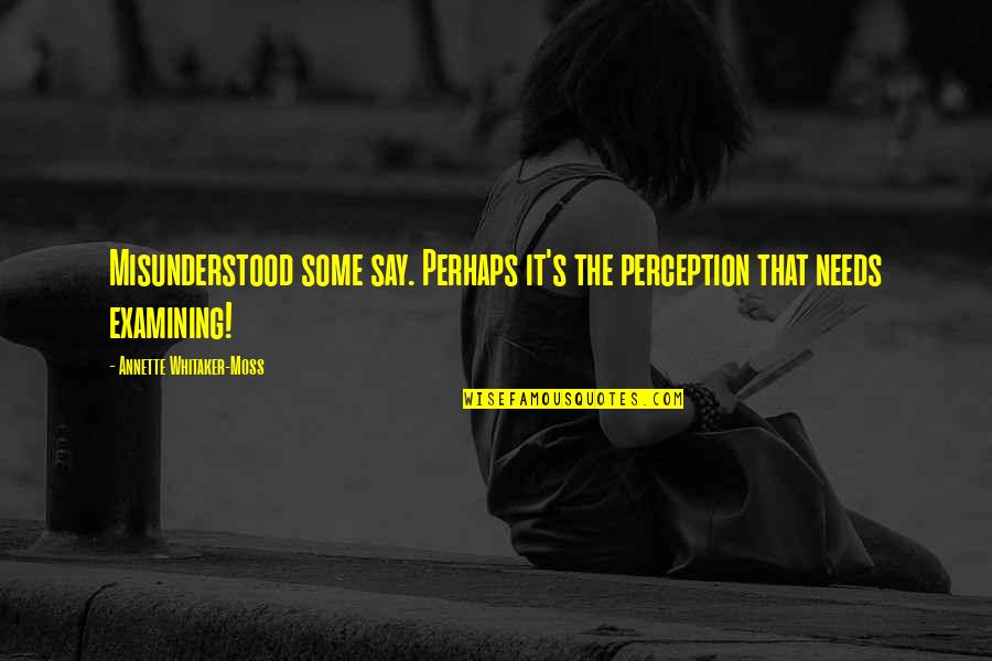 Seakanana Quotes By Annette Whitaker-Moss: Misunderstood some say. Perhaps it's the perception that Seakanana Quotes By Annette Whitaker-Moss: Misunderstood some say. Perhaps it's the perception that