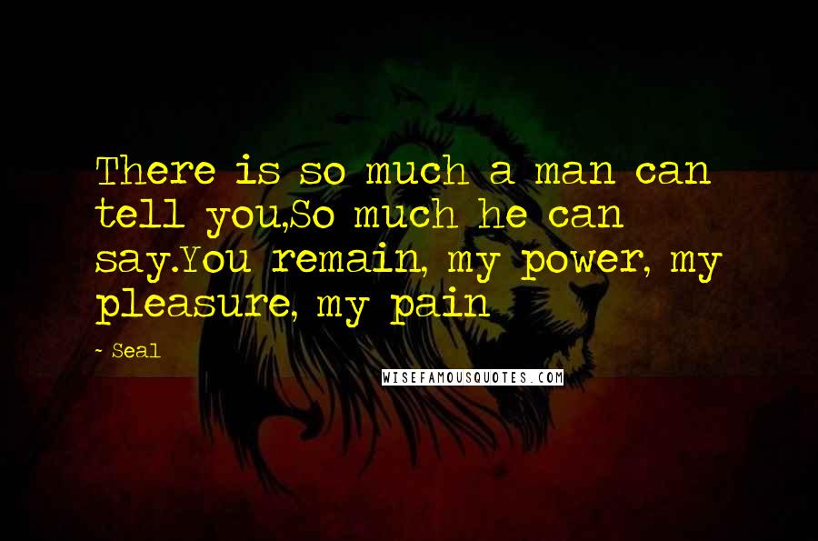 Seal quotes: There is so much a man can tell you,So much he can say.You remain, my power, my pleasure, my pain