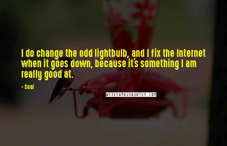 Seal quotes: I do change the odd lightbulb, and I fix the Internet when it goes down, because it's something I am really good at.