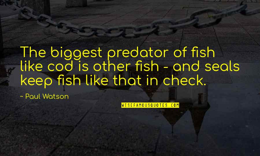 Seals Quotes By Paul Watson: The biggest predator of fish like cod is