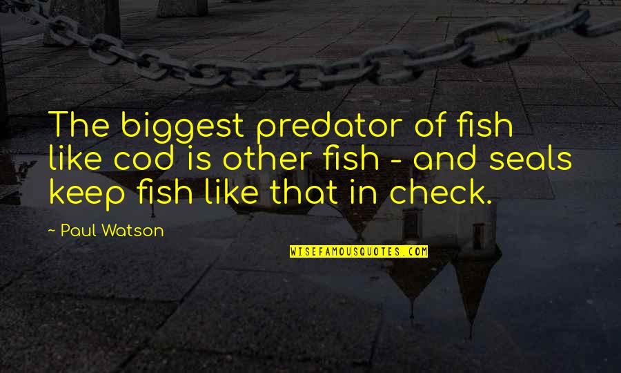 Seals Quotes By Paul Watson: The biggest predator of fish like cod is Seals Quotes By Paul Watson: The biggest predator of fish like cod is