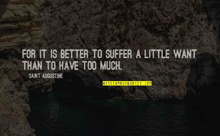 Seamands Funding Quotes By Saint Augustine: For it is better to suffer a little