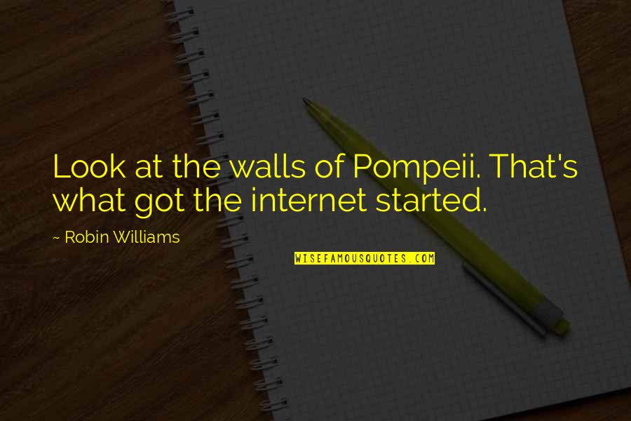 Seamans Quotes By Robin Williams: Look at the walls of Pompeii. That's what