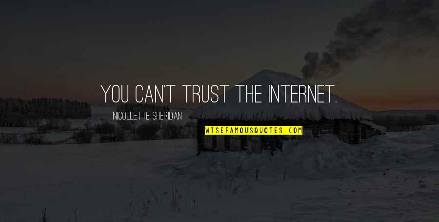Seamus Deane Quotes By Nicollette Sheridan: You can't trust the internet.