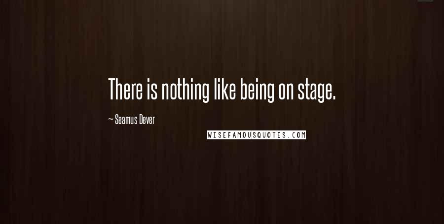 Seamus Dever quotes: There is nothing like being on stage.