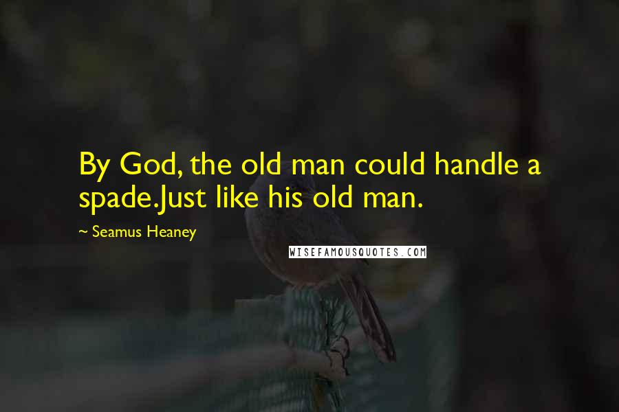 Seamus Heaney quotes: By God, the old man could handle a spade.Just like his old man.