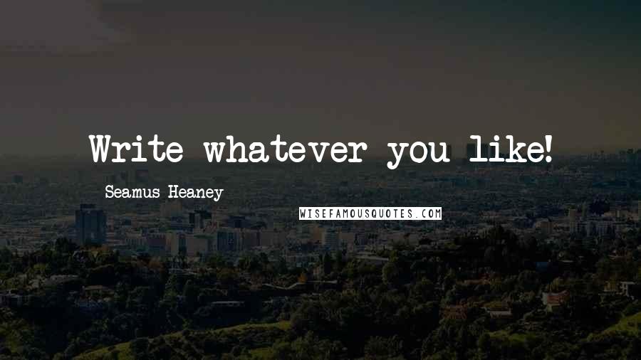Seamus Heaney quotes: Write whatever you like!