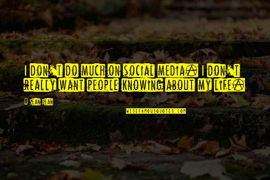 Sean Bean Quotes By Sean Bean: I don't do much on social media. I
