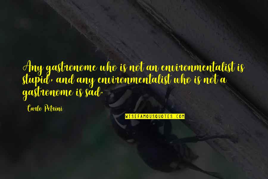 Sean Boswell Quotes By Carlo Petrini: Any gastronome who is not an environmentalist is