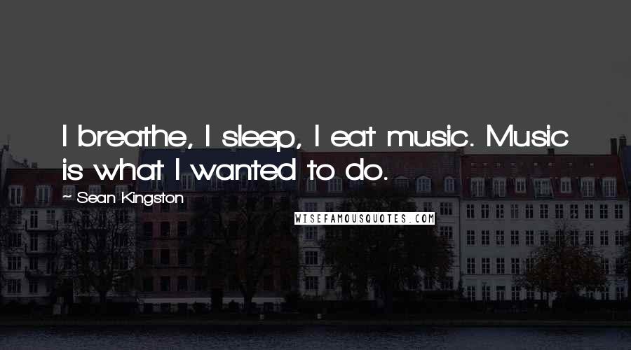 Sean Kingston quotes: I breathe, I sleep, I eat music. Music is what I wanted to do.