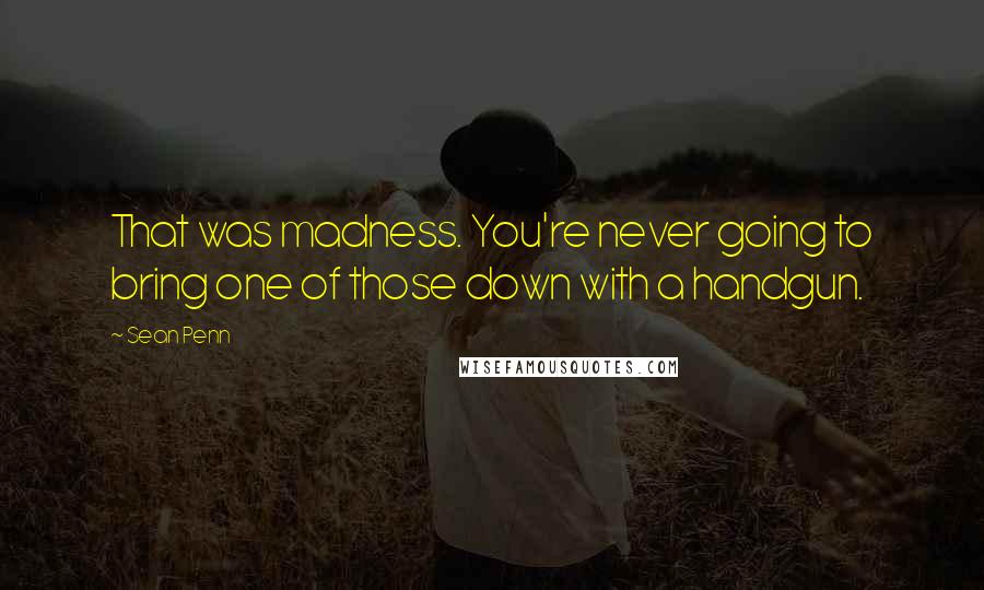 Sean Penn quotes: That was madness. You're never going to bring one of those down with a handgun.