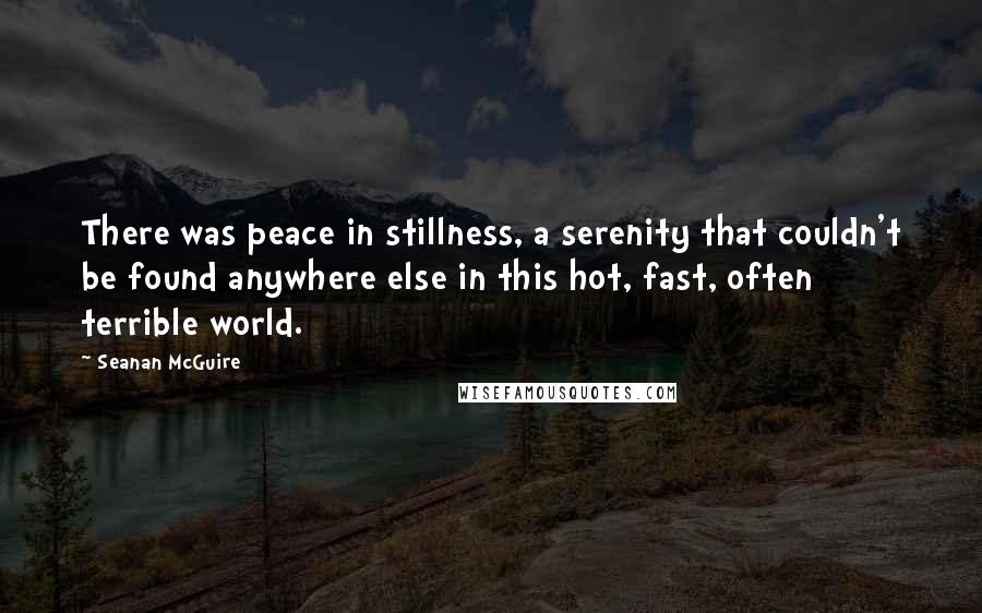 Seanan McGuire quotes: There was peace in stillness, a serenity that couldn't be found anywhere else in this hot, fast, often terrible world.