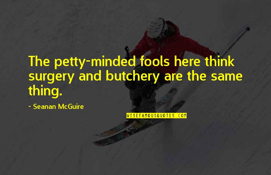 Seanan Mcguire Quotes By Seanan McGuire: The petty-minded fools here think surgery and butchery