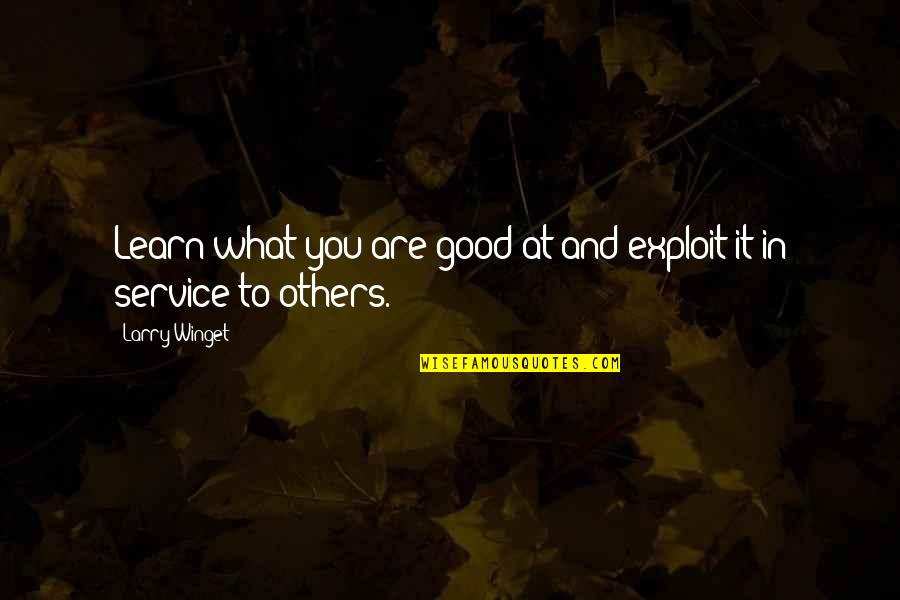 Search Engine Optimization Quotes By Larry Winget: Learn what you are good at and exploit