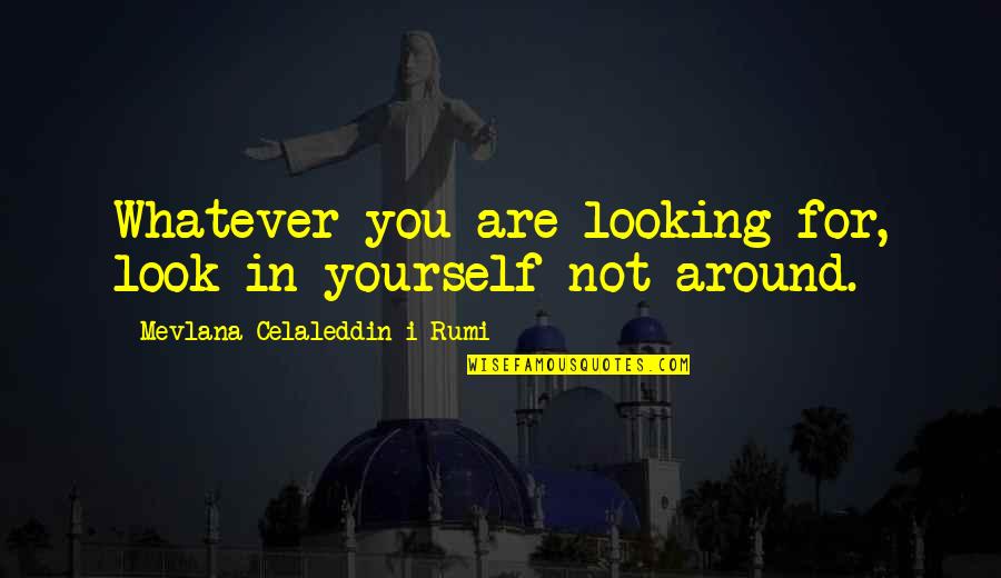 Search Life Quotes By Mevlana Celaleddin-i Rumi: Whatever you are looking for, look in yourself