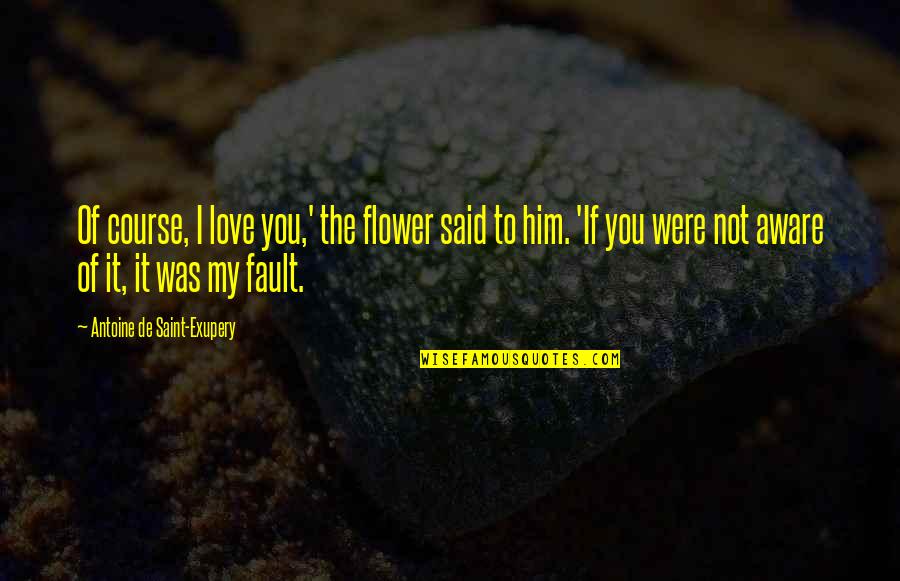 Search More Hovels Quotes By Antoine De Saint-Exupery: Of course, I love you,' the flower said