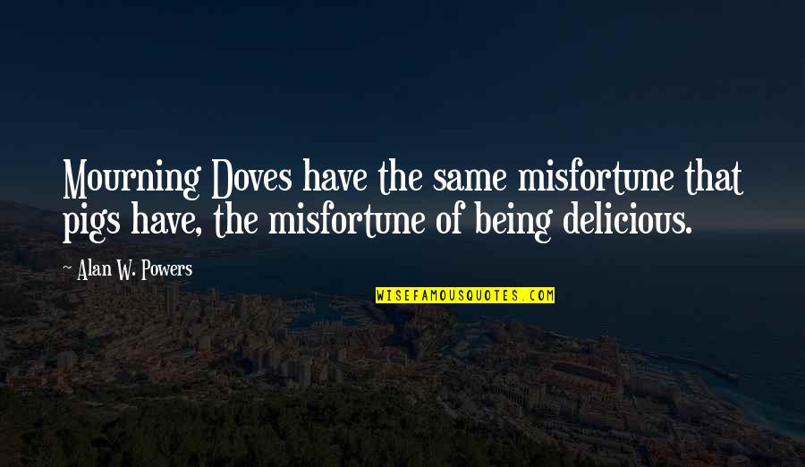 Searchers John Quotes By Alan W. Powers: Mourning Doves have the same misfortune that pigs