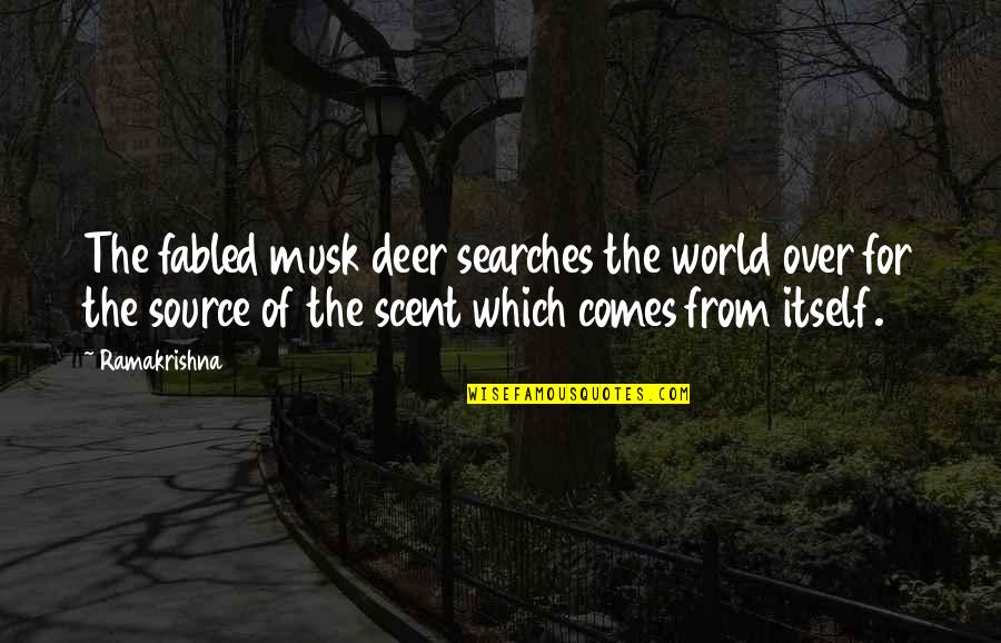Searches Quotes By Ramakrishna: The fabled musk deer searches the world over Searches Quotes By Ramakrishna: The fabled musk deer searches the world over