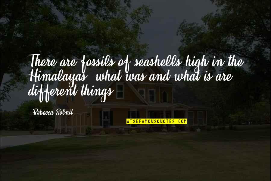 Seashells Quotes By Rebecca Solnit: There are fossils of seashells high in the