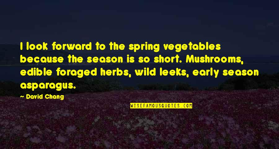 Season Of Spring Quotes By David Chang: I look forward to the spring vegetables because Season Of Spring Quotes By David Chang: I look forward to the spring vegetables because