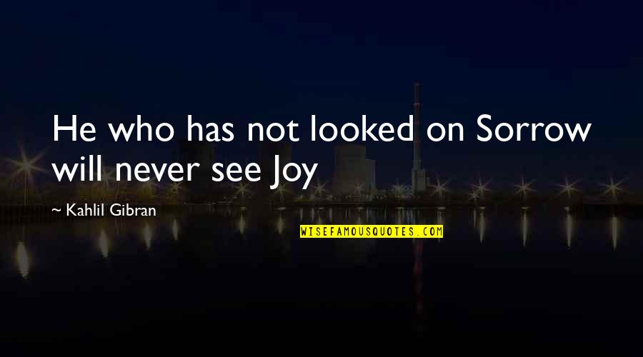 Seastrom Washer Quotes By Kahlil Gibran: He who has not looked on Sorrow will Seastrom Washer Quotes By Kahlil Gibran: He who has not looked on Sorrow will