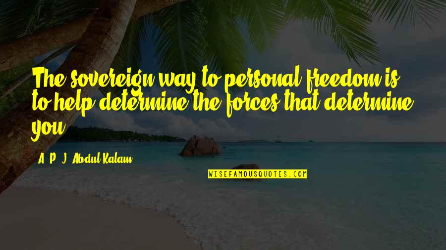 Seatback Dodge Quotes By A. P. J. Abdul Kalam: The sovereign way to personal freedom is to