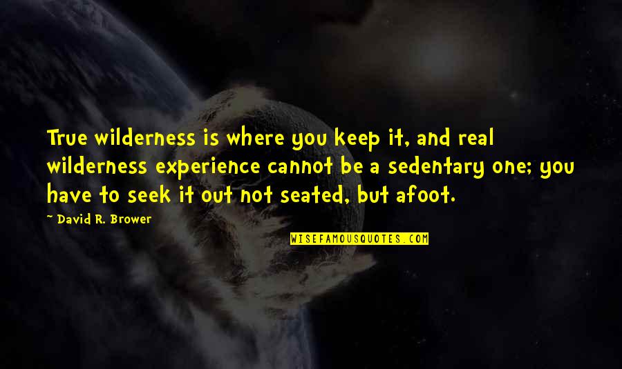 Seated Quotes By David R. Brower: True wilderness is where you keep it, and
