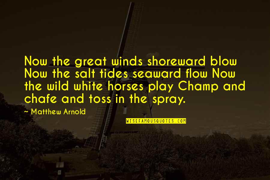 Seaward Quotes By Matthew Arnold: Now the great winds shoreward blow Now the