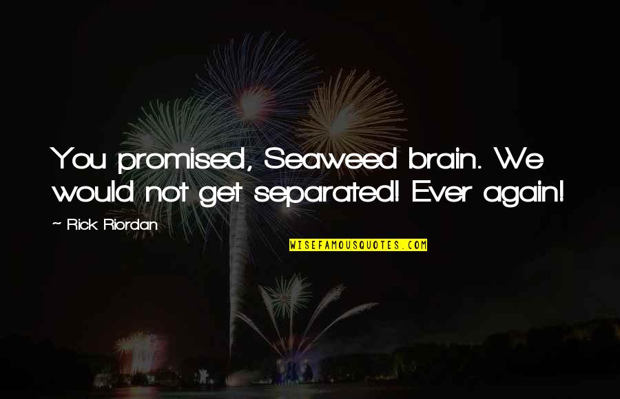 Seaweed Brain Quotes By Rick Riordan: You promised, Seaweed brain. We would not get