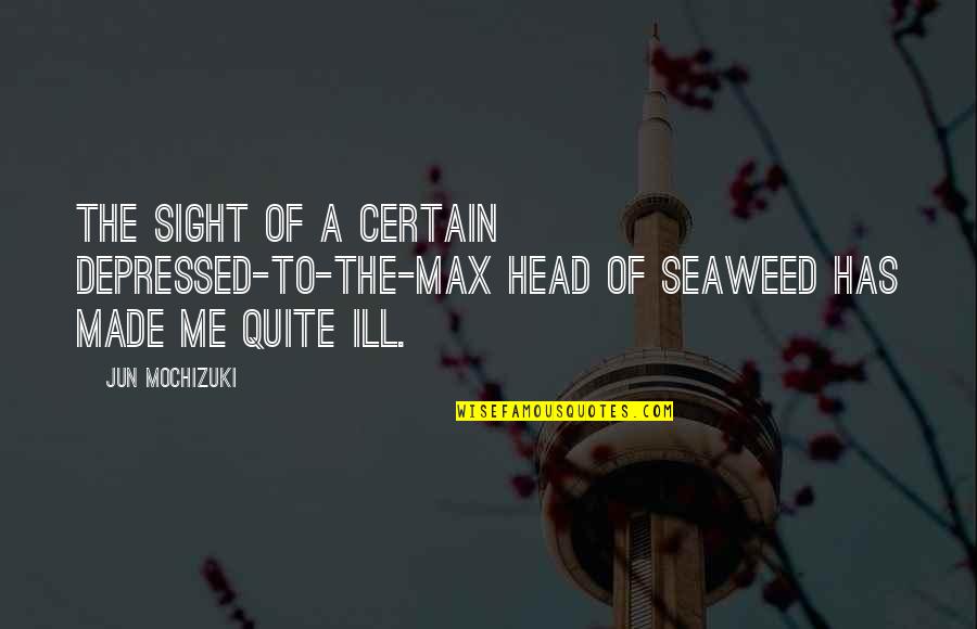 Seaweed Quotes By Jun Mochizuki: The sight of a certain depressed-to-the-max head of