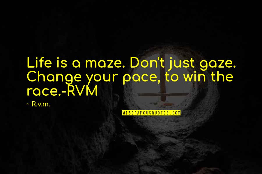 Sebak Quotes By R.v.m.: Life is a maze. Don't just gaze. Change