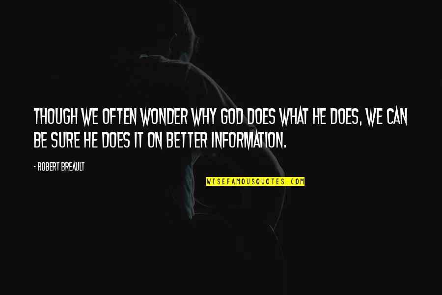 Sebak Quotes By Robert Breault: Though we often wonder why God does what Sebak Quotes By Robert Breault: Though we often wonder why God does what