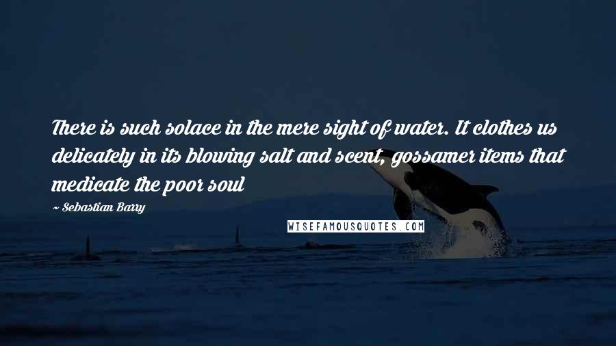 Sebastian Barry quotes: There is such solace in the mere sight of water. It clothes us delicately in its blowing salt and scent, gossamer items that medicate the poor soul