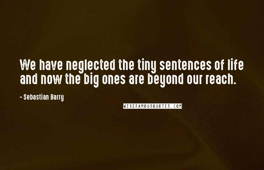 Sebastian Barry quotes: We have neglected the tiny sentences of life and now the big ones are beyond our reach.