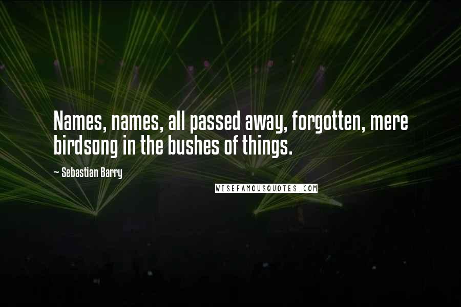 Sebastian Barry quotes: Names, names, all passed away, forgotten, mere birdsong in the bushes of things.