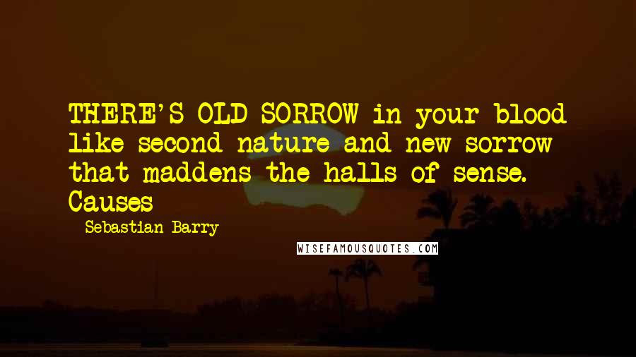 Sebastian Barry quotes: THERE'S OLD SORROW in your blood like second nature and new sorrow that maddens the halls of sense. Causes