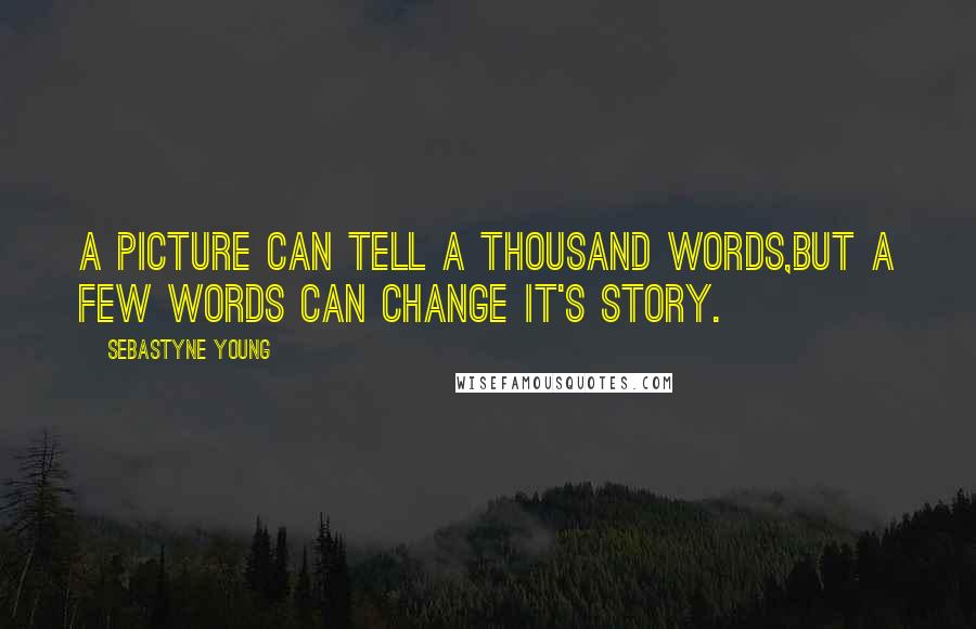 Sebastyne Young quotes: A picture can tell a thousand words,but a few words can change it's story.