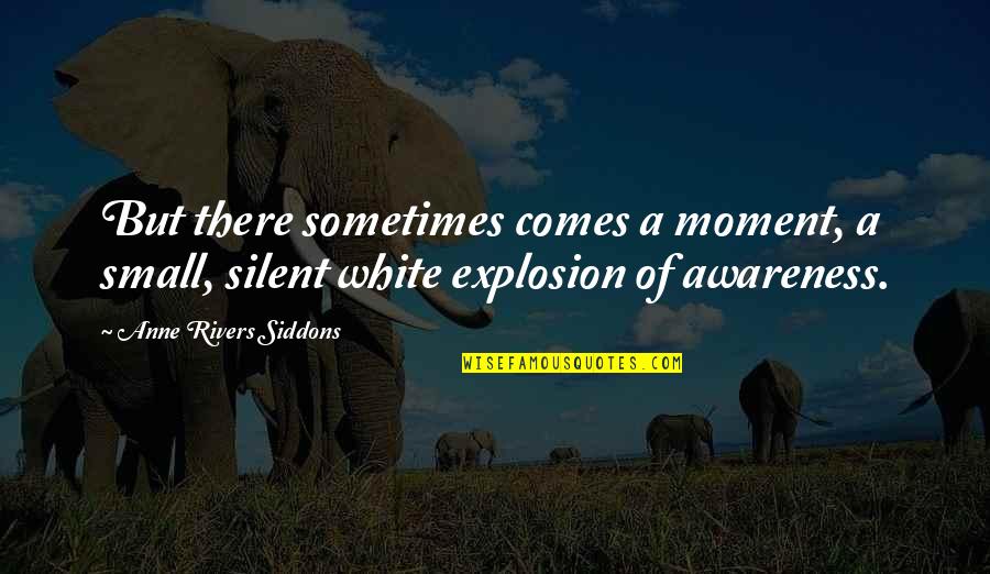 Sebebine Quotes By Anne Rivers Siddons: But there sometimes comes a moment, a small, Sebebine Quotes By Anne Rivers Siddons: But there sometimes comes a moment, a small,