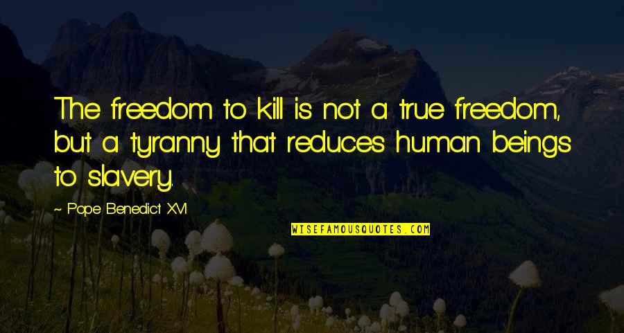 Sebina Joseph Quotes By Pope Benedict XVI: The freedom to kill is not a true Sebina Joseph Quotes By Pope Benedict XVI: The freedom to kill is not a true