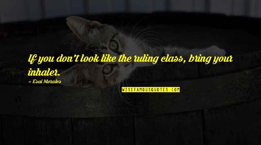 Sebuah Quotes By Esai Morales: If you don't look like the ruling class, Sebuah Quotes By Esai Morales: If you don't look like the ruling class,