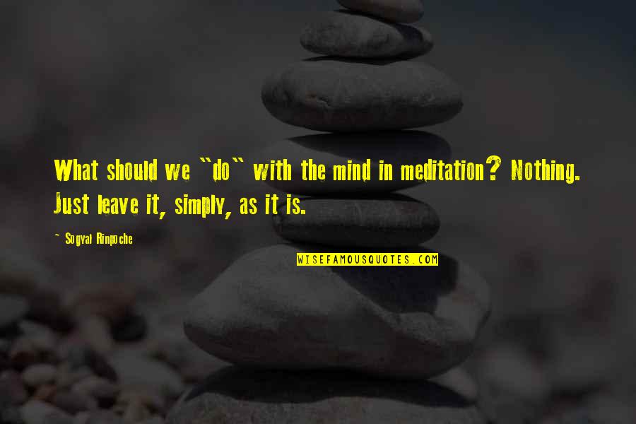 Sebunya Hamuza Quotes By Sogyal Rinpoche: What should we "do" with the mind in
