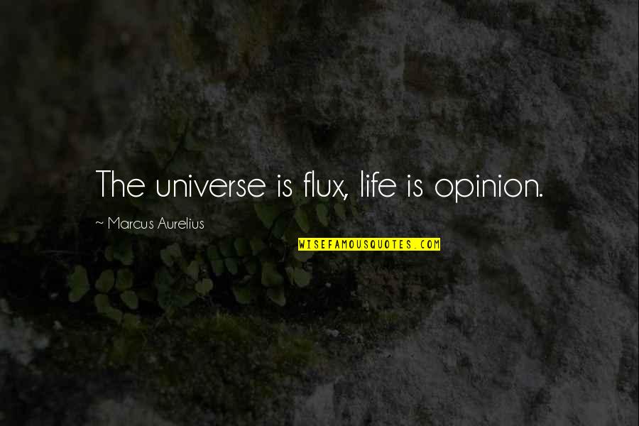 Secante En Quotes By Marcus Aurelius: The universe is flux, life is opinion.