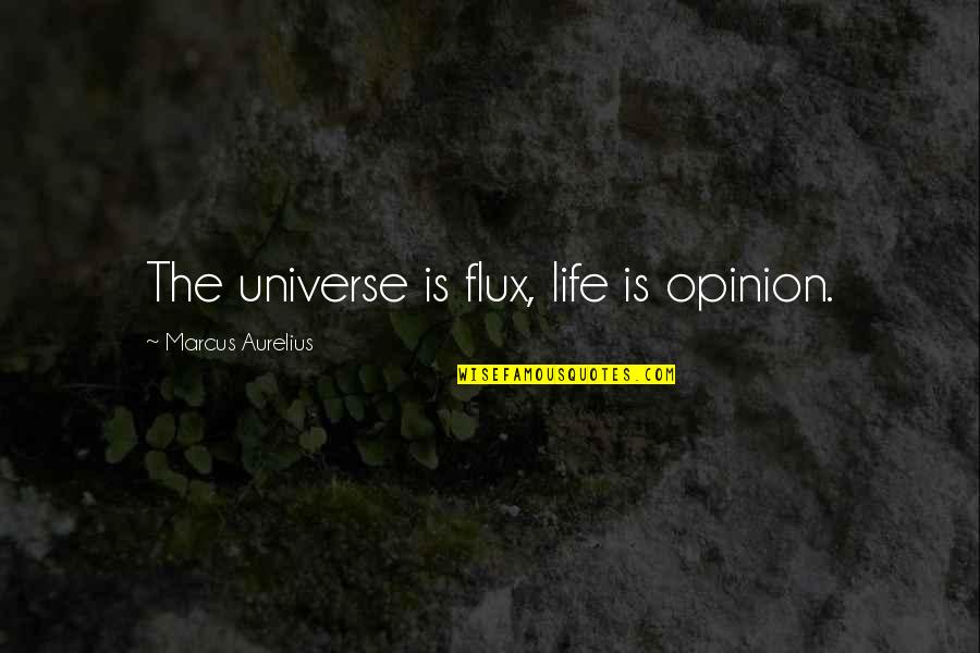 Secante En Quotes By Marcus Aurelius: The universe is flux, life is opinion. Secante En Quotes By Marcus Aurelius: The universe is flux, life is opinion.