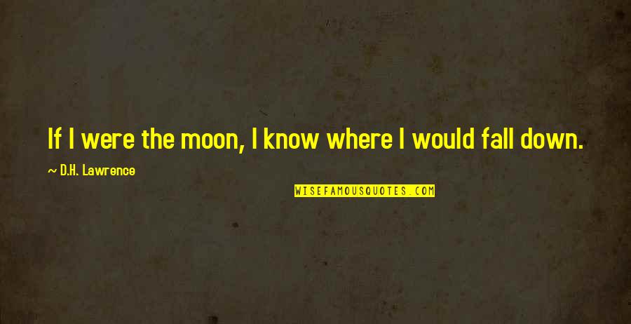 Secareanu Dumitru Quotes By D.H. Lawrence: If I were the moon, I know where Secareanu Dumitru Quotes By D.H. Lawrence: If I were the moon, I know where