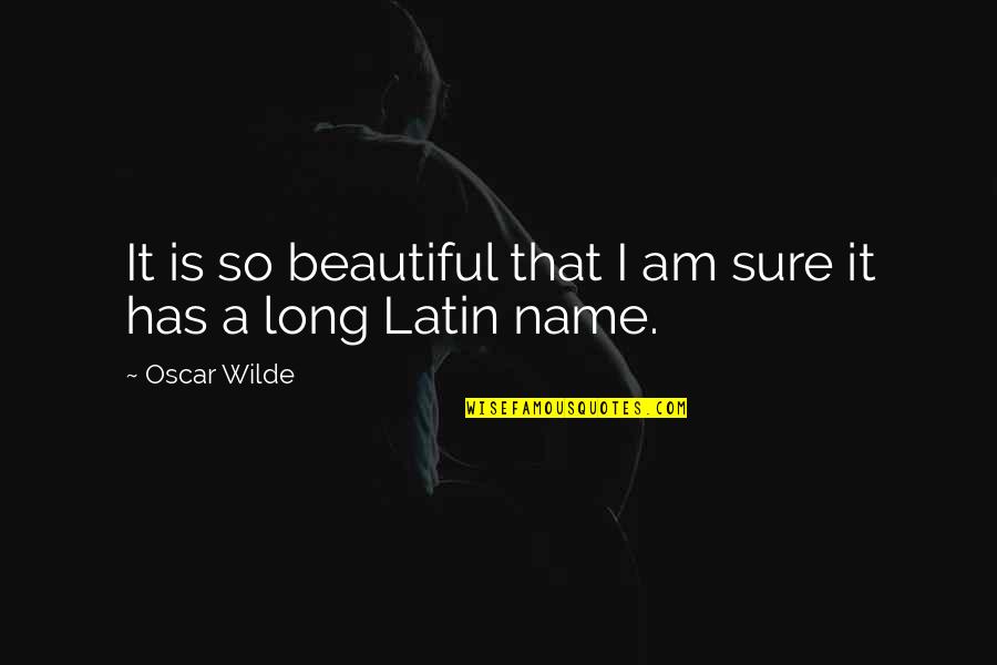 Sechrist Hyperbaric Chambers Quotes By Oscar Wilde: It is so beautiful that I am sure
